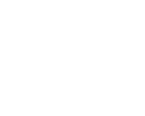 FireEye logo